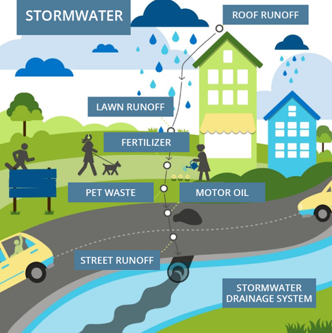 Graphic Courtesy of https://northgeorgiawater.org/protect-our-water/stormwater-sewer-and-septic-basics/